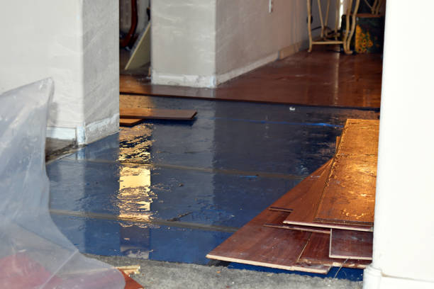 Professional Sewage Cleanup technician working in Clinton, MI